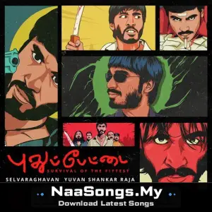 Pudhupettai