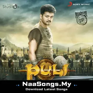 Puli