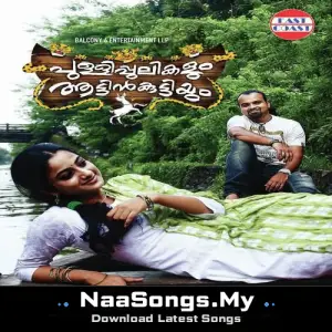 Pullipulikalum Attinkuttiyum