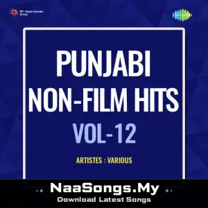 Punjabi Non - Film Hits Vol - 12