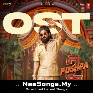 Pushpa 2 The Rule Ost