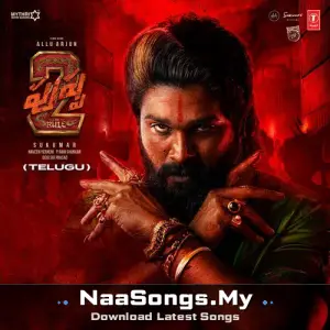 Pushpa 2 The Rule - (Telugu)