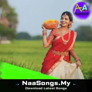 Puttadi Bomma