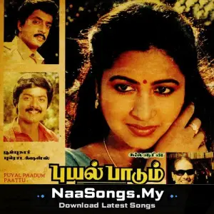 Puyal Paadum Paattu