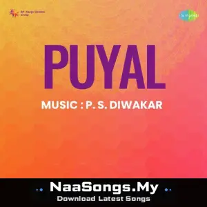 Puyal