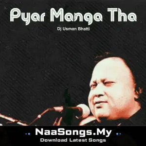 Pyar Manga Tha (Remix)