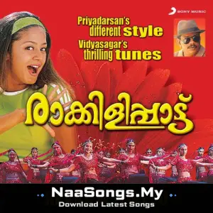 Raakkilippaattu