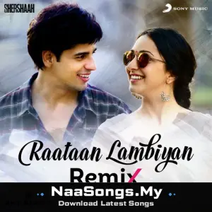 Raataan Lambiyan (Remix)