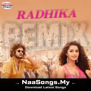 Radhika - Official Remix (From "Tillu Square")
