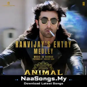 Ranvijay's Entry Medley (From "ANIMAL")