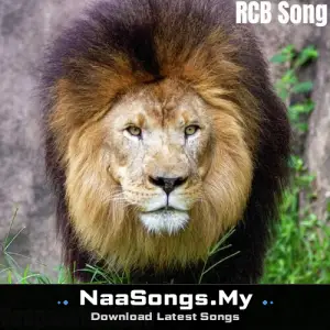RCB Song