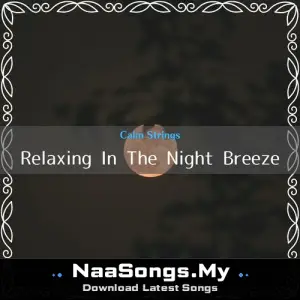 Relaxing In The Night Breeze