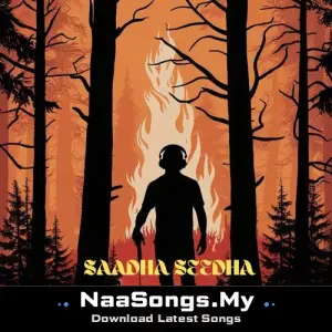 Saadha Seedha (Vox)