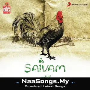 Saivam