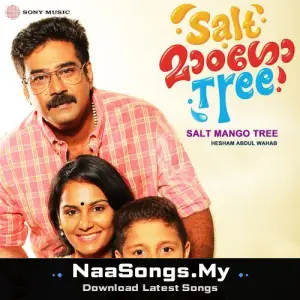 Salt Mango Tree