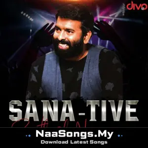 SaNa-tive Santhosh Narayanan