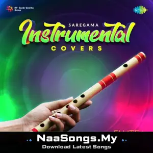 Saregama Instrumental Covers - Flute