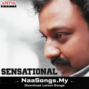 Sensational Director V.V.  Vinayak