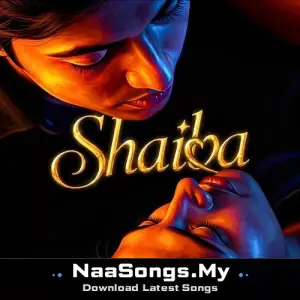 Shaiba