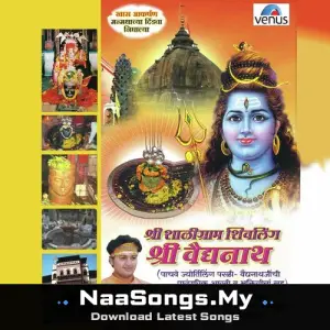 Shaligram Shivling Shri Vaidyanath