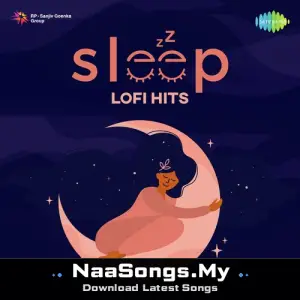 Sleep Lofi Hits