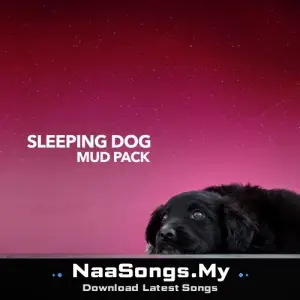 Sleeping Dog