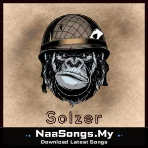 SOLZER