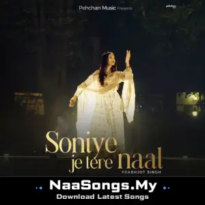 Soniye Je Tere Naal