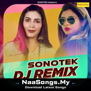 Sonotek DJ Remix Vol 12