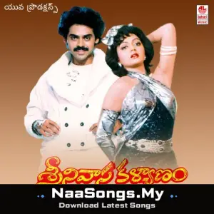 Srinivasa Kalyanam