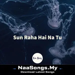Sun Raha Hai Na Tu