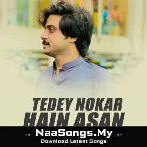 Tedey Nokar Hain Asan
