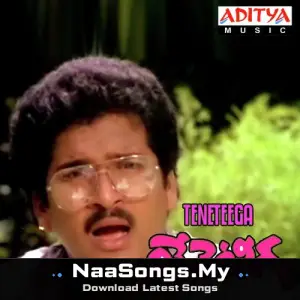 Teneteega