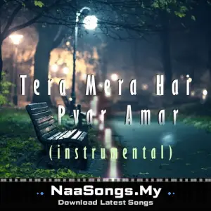 Tera Mera Hai Pyar Amar (Instrumental)