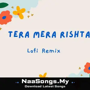 Tera Mera Rishta (Lofi Remix)