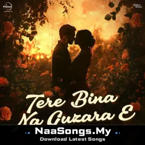 Tere Bina Na Guzara E (LoFi)