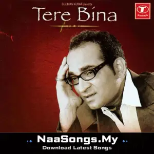 Tere Bina mp3 download