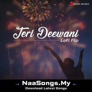 Teri Deewani (Lofi Flip)