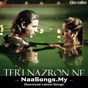 Teri Nazron Ne