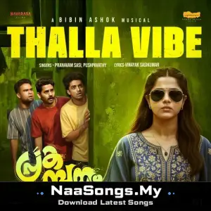 Thalla Vibe (From "Prakambanam")