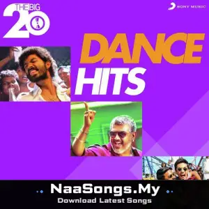 The Big 20 (Dance Hits)