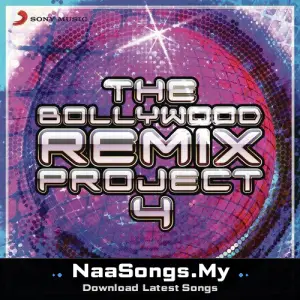 The Bollywood Remix Project, 4