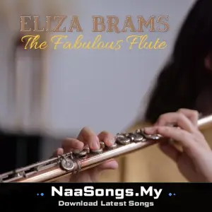 The Fabulous Flute