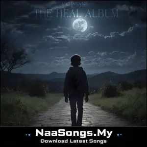 The Heal Album