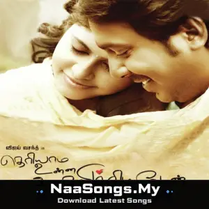 Theriyama Unna Kadhalichitten