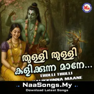 Thulli Thulli Kalikkunna Maane