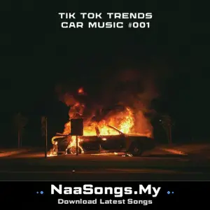 Tik Tok Trends. Car Music #001