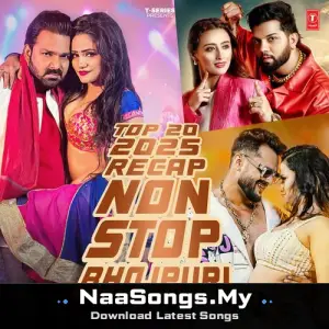 Top 20 2025 Recap Non Stop Bhojpuri