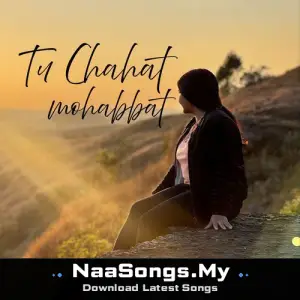 Tu Chahat Mohabbat mp3 download