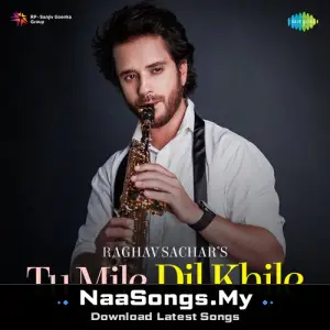 Tu Mile Dil Khile - Instrumental